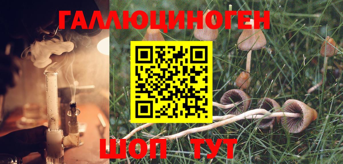 Галлюциногенные грибы Psilocybine cubensis  Псилоцибиновые грибы MAGIC MUSHROOMS  Губкинский  Вход с VPN 