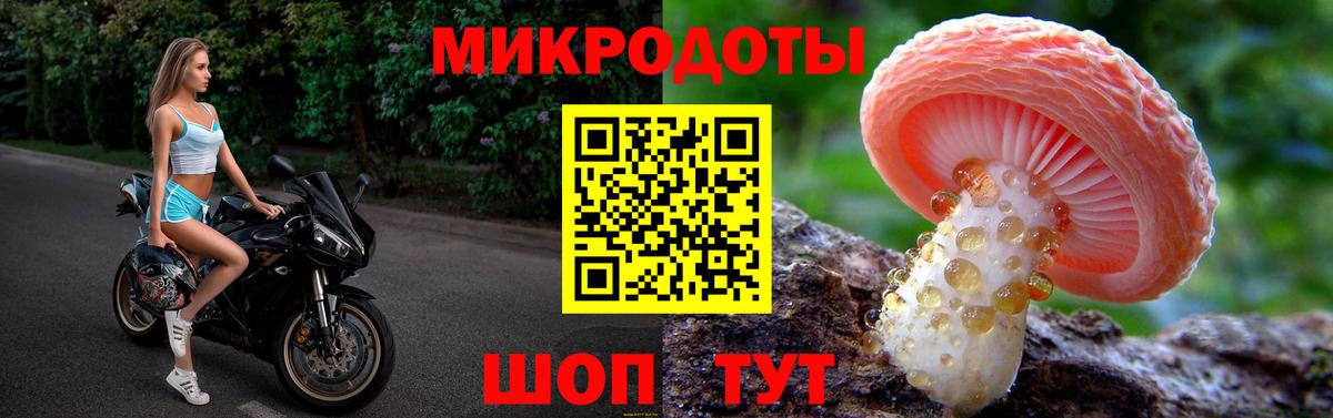 Галлюциногенные грибы Magic Shrooms Губкинский