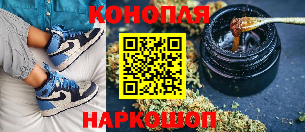 Бошки Шишки планчик Губкинский